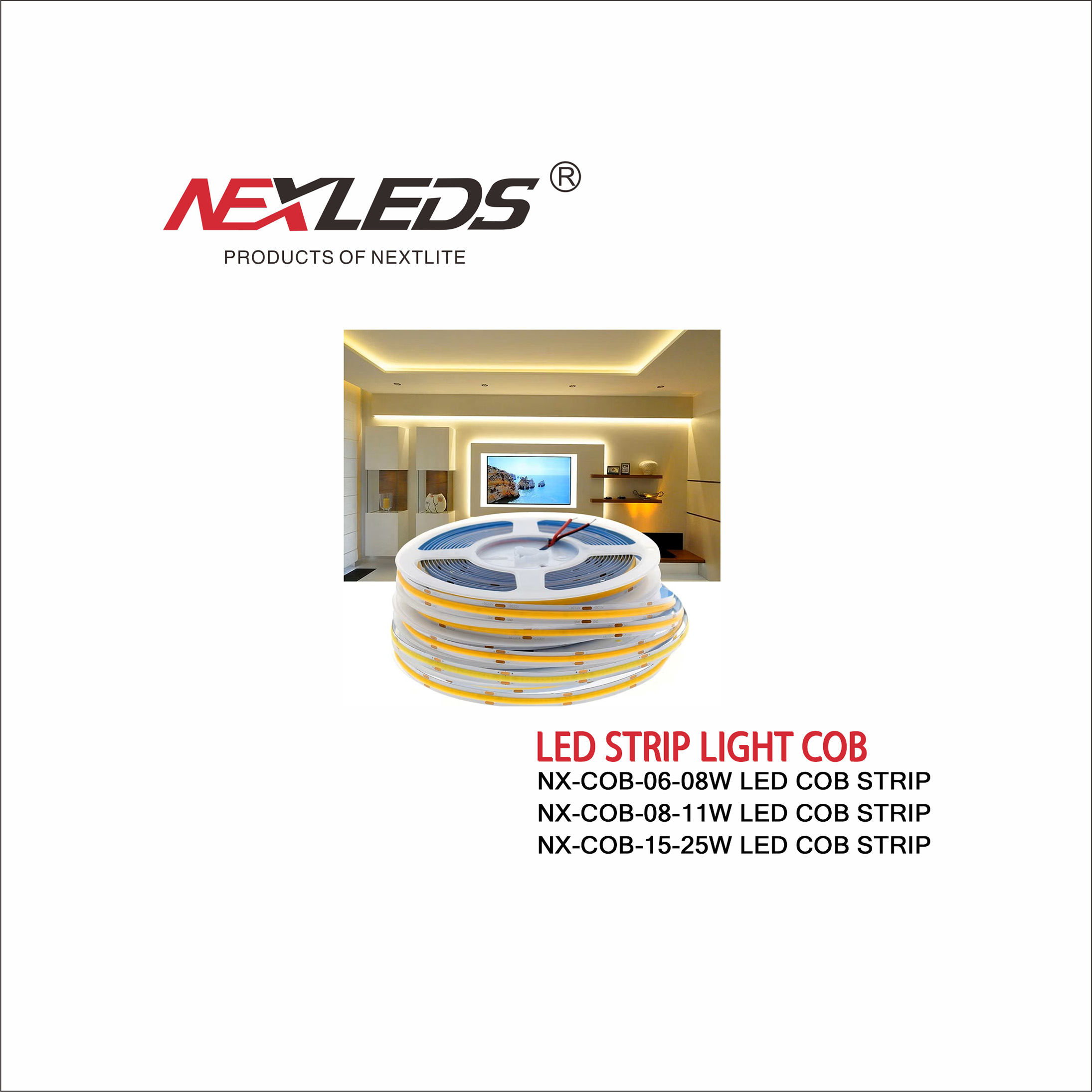 NX-COB480 06 8W / NX-COB480 08 11W / NX-COB480 15 25W (IP20/IP65)