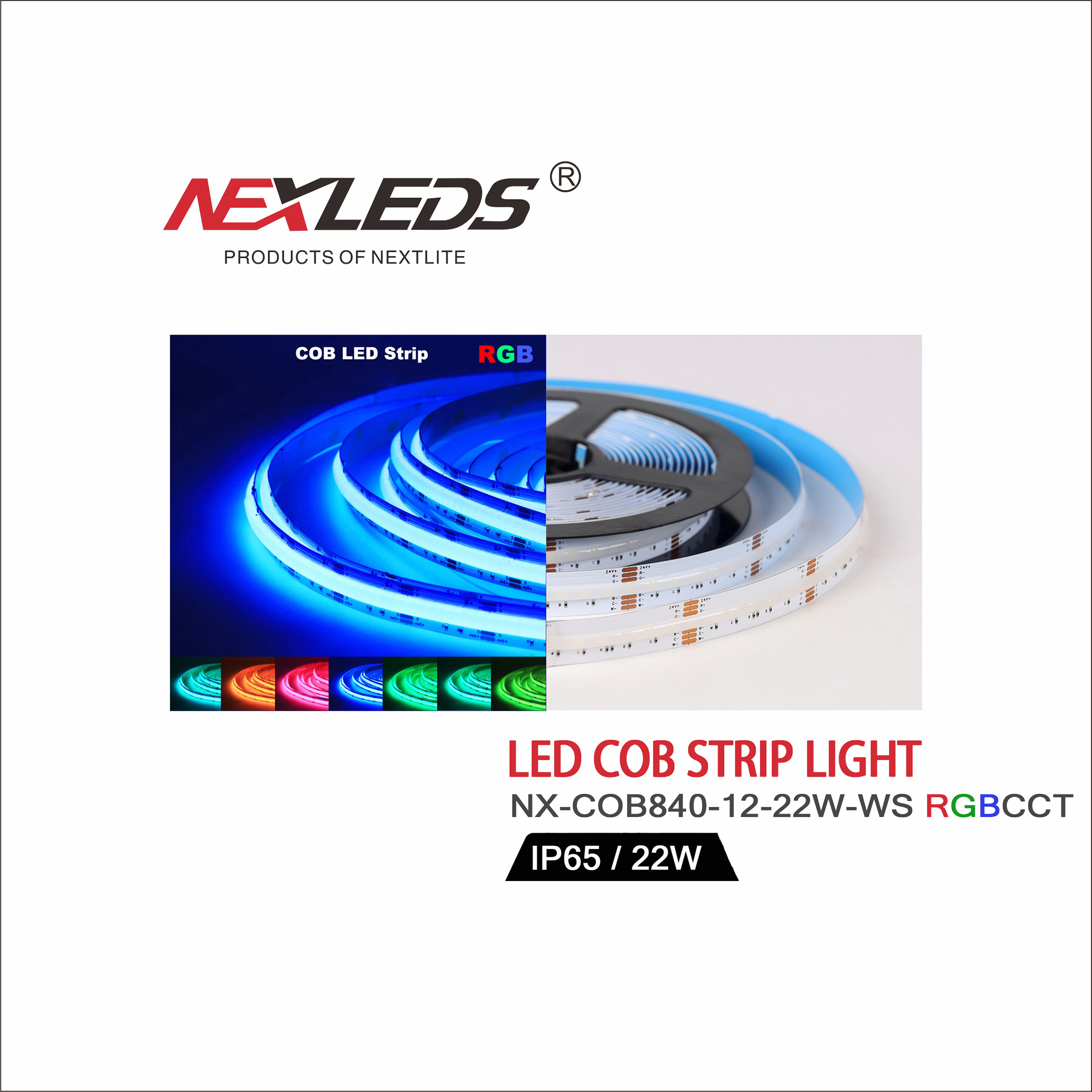 NX COB840 12 22W WS RGBCCT IP65