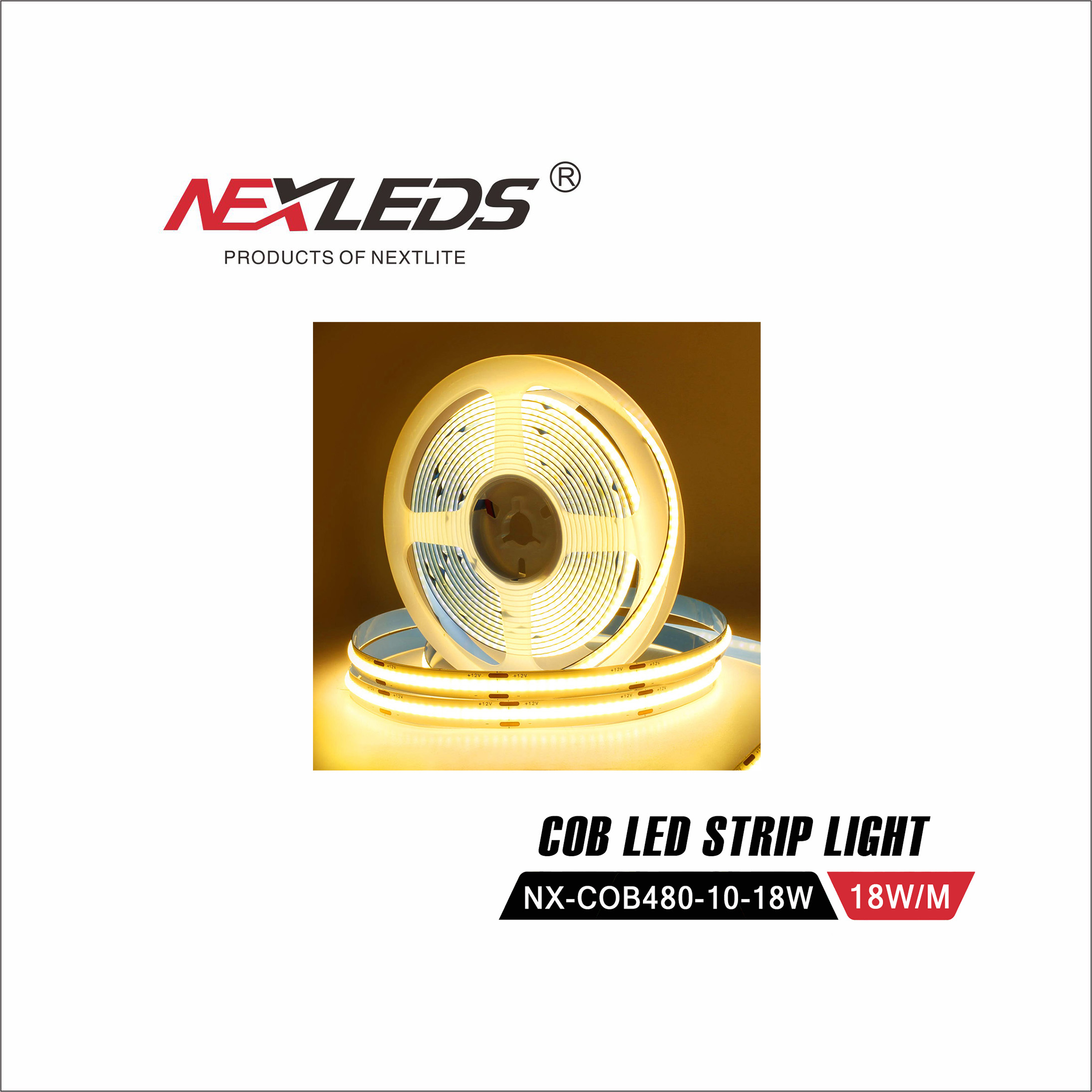 NX COB480 10 18W  IP20 / IP65