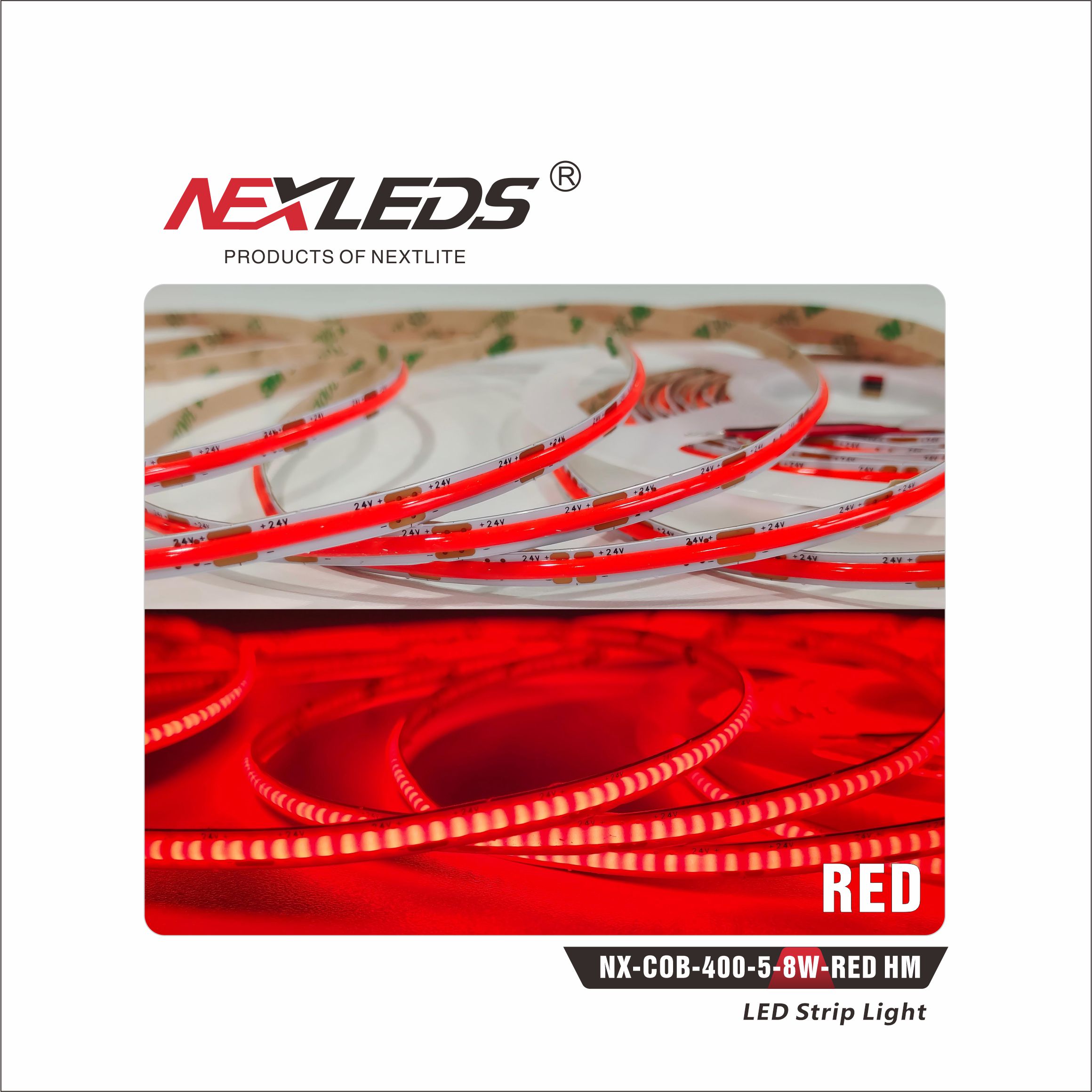 NX COB400 5 8W 3000K / 4000K / RED / ICE BLUE